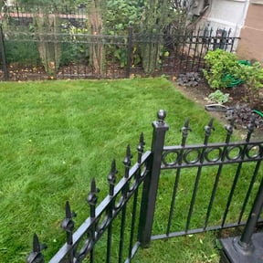 turf care by Quality Lawn Care reviewed on April 16, 2024
