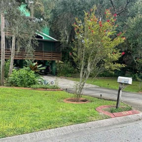 grass maintenance by 3D Cutting reviewed on August 19, 2025