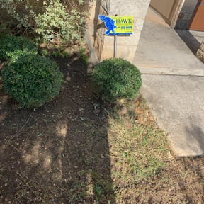 Bush Trimming by Byers Lawn reviewed on August 21, 2025