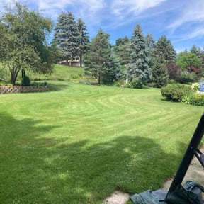 yard maintenance by GET Tax Service reviewed on August 21, 2025