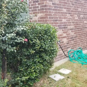 Bush Trimming by Grateful Green Lawn Care reviewed on August 20, 2025