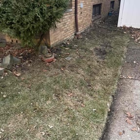 Leaf Removal by Melvin’s Lanscaping reviewed on August 19, 2026