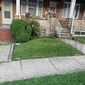 Bush Trimming by Scott Bensing Lawn Care reviewed on August 18, 2025