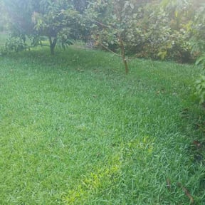 landscaping by ShiftChange LLC Lawn Service reviewed on August 15, 2025