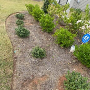Flower Bed Weeding by AR Preservation reviewed on August 19, 2025