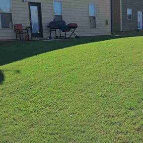turf maintenance by Attention To Detail Lawn Care Services reviewed on October 6, 2024