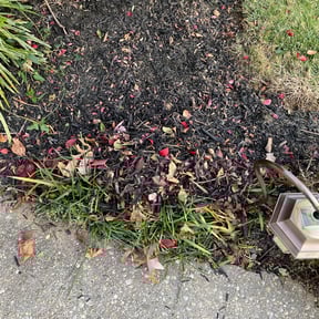 Bush Trimming by Unique Transit Solutions reviewed on August 16, 2025
