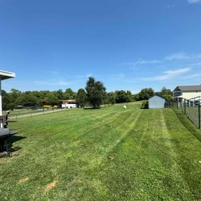 yard maintenance by Masterkey property maintenance reviewed on August 17, 2025