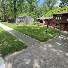 landscaping services by Fast Pace LLC reviewed on August 20, 2025