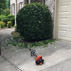 Bush Trimming by Lone star Lawn Care reviewed on August 21, 2025