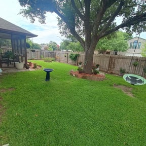 yard service by aguila Landscape maintenance reviewed on August 19, 2025