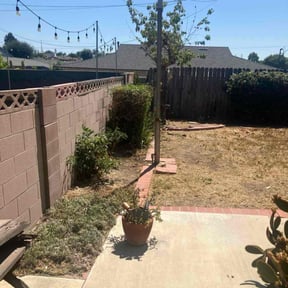 Bush Trimming by Triple 3 Lawn Care LLC reviewed on October 22, 2025