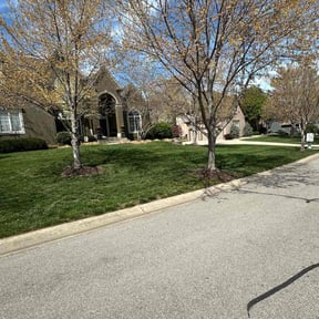 Lawn Mowing by The Lawn Cypress reviewed on July 30, 2025