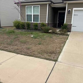 Flower Bed Weeding by Year round reviewed on March 16, 2026