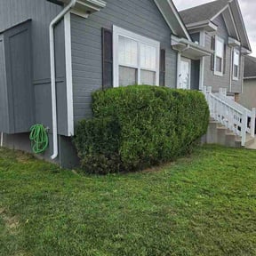 Bush Trimming by Henryjimenezllc reviewed on August 5, 2026