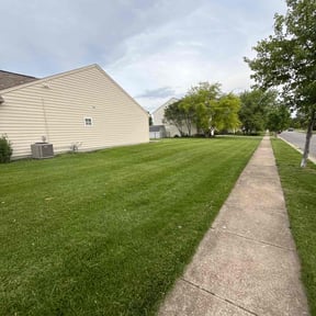 yard work by Green Door reviewed on August 21, 2025