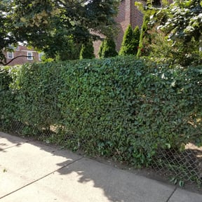 Bush Trimming by Welcome Home Property Management reviewed on August 16, 2025