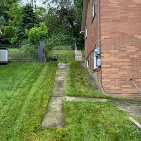 lawn service by Mariscal Lawn and Landscaping LLC reviewed on May 11, 2024