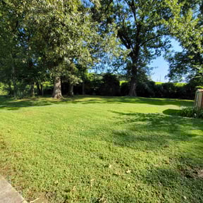 grass maintenance by J&amp; L Services LLC reviewed on September 24, 2024