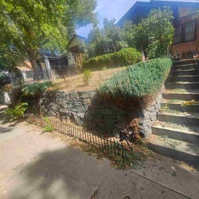 Bush Trimming by Ismael reviewed on January 4, 2026