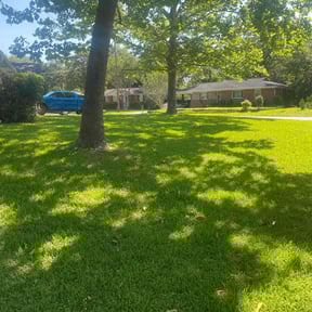 landscaping services by JohnRobert Lawn&amp;Garden reviewed on November 24, 2025