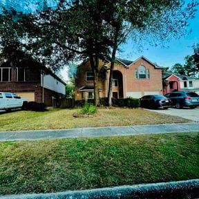 Leaf Removal by Unknown reviewed on November 20, 2025