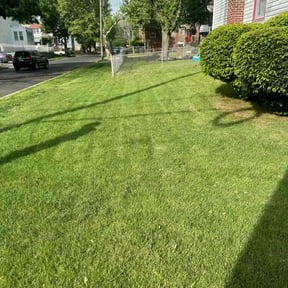 landscape maintenance by Cut N Plow LLC reviewed on November 20, 2025