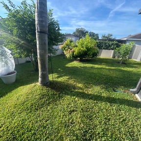 yard work by The Green Guy Lawn Care LLC reviewed on January 2, 2026