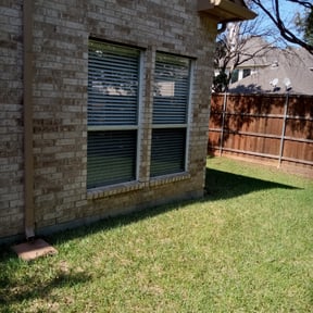 Bush Trimming by SON SHINE LAWNS LLC reviewed on November 21, 2025