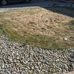 Leaf Removal by Pro Cut Lawns LLC reviewed on November 23, 2025