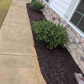 Flower Bed Weeding by Economic Landscape reviewed on May 1, 2026