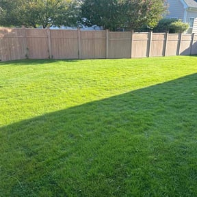 yard care by Cream of the Cut Lawn Care reviewed on August 16, 2025