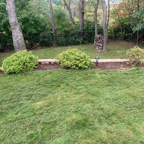 Bush Trimming by Mike's Lawns reviewed on August 21, 2025