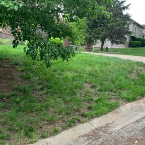 Leaf Removal by Zebra Cuts Lawn &amp; Landscaping LLC reviewed on May 28, 2026