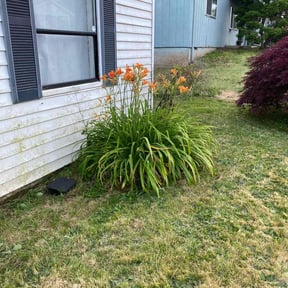 Flower Bed Weeding by R and L services reviewed on August 15, 2025