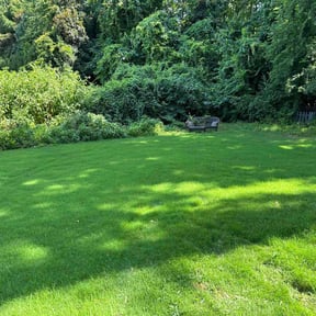 landscaping by Major Services reviewed on November 3, 2023