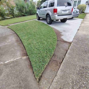 Leaf Removal by Emerald Green Property Management LLC reviewed on October 18, 2025