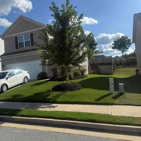 Bush Trimming by Local Green Lawn Care LLC reviewed on December 17, 2025