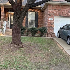 Leaf Removal by Oak Landscaping reviewed on March 20, 2026