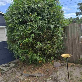 Bush Trimming by Dutka Landscaping LLC reviewed on October 21, 2025