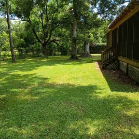 yard care by Everything you need LLC reviewed on December 22, 2025