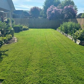 yard maintenance by Father and Son Lawn Care reviewed on August 18, 2025