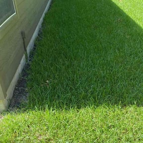 yard care by Wildflower Lawn Care Company reviewed on January 29, 2026