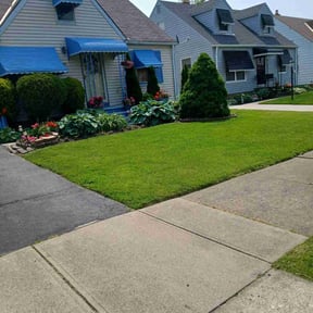 landscaping services by Your Way Lawn & Landscaping reviewed on August 19, 2025