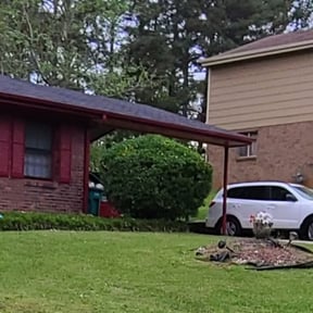 Bush Trimming by E.fragelus Lawn care Services reviewed on August 15, 2025