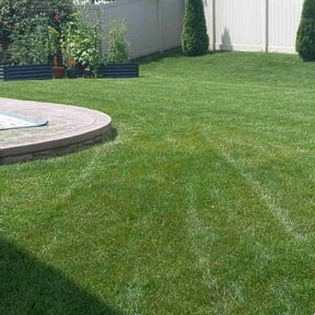 landscaping services by W&W landscaping reviewed on August 17, 2025