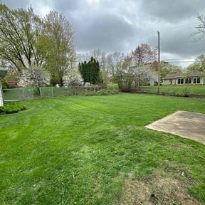 yard work by Carlos Tapia reviewed on April 22, 2024