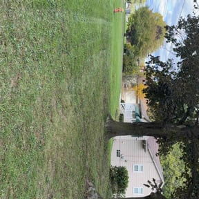 Leaf Removal by Sal&#039;s lawn service  reviewed on November 7, 2025