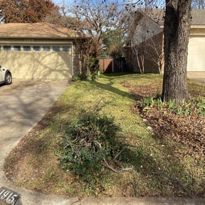 Bush Trimming by DMD LAWN SVC reviewed on August 16, 2025