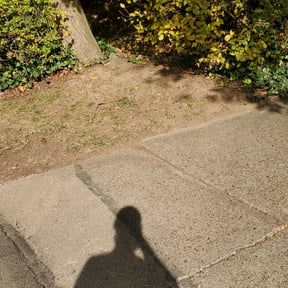 Leaf Removal by Bailey Lawn Care reviewed on September 20, 2025